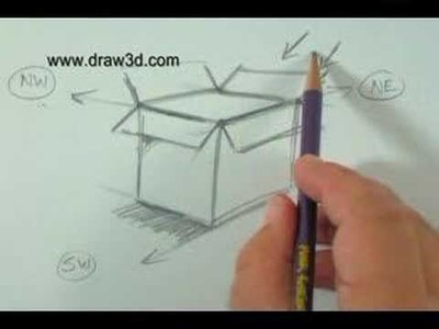 How To Draw with Mark Kistler: Flowers in a 3-D Box!