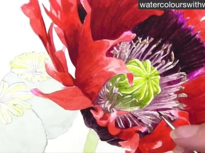 How to paint a realistic poppy centre in watercolor by Anna Mason
