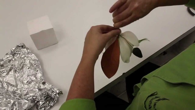Making a Southern Magnolia Leaf and Bud out of Gumpaste
