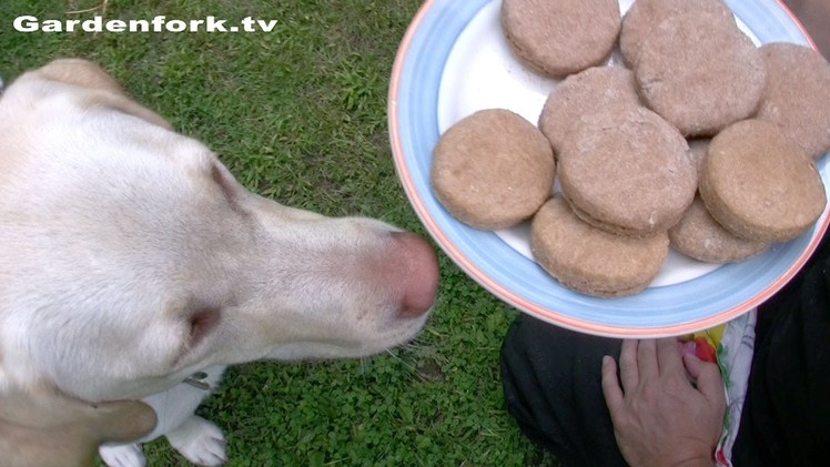 Dog Biscuit Treat Recipe : GardenFork.TV
