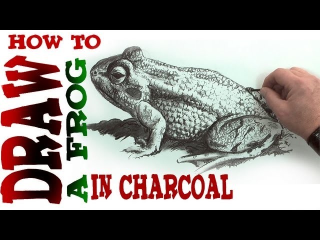 How to Draw a Frog in Charcoal- Spoken Tutorial