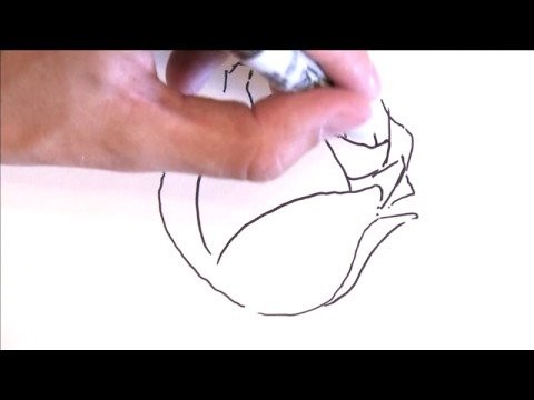 Illustration & Drawing Tips : How to Draw a Rose