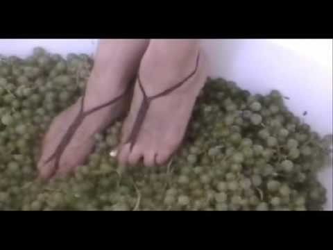 Nudeshoe  Grape CRUSH Barefoot Sandals