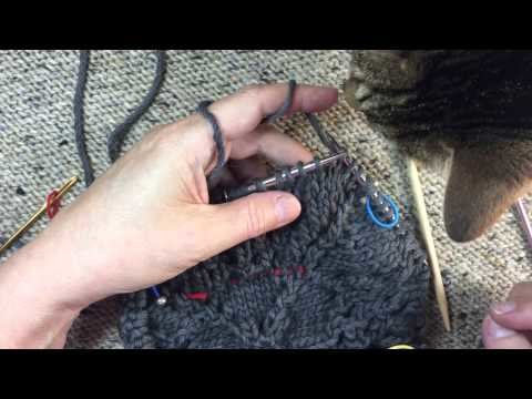 Video Outtakes - Something walked into frame while recording - Donna Druchunas