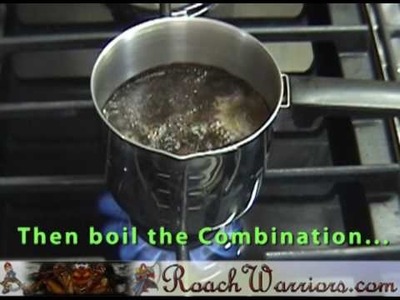 Best Lure Roach Bate (Liquid) - Roachwarriors.com