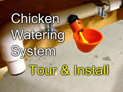 Chicken Watering: Tour and Install of my gravity fed system