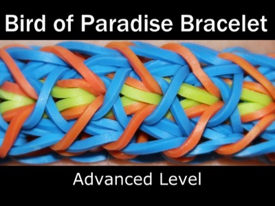 Rainbow Loom® Bird of Paradise Bracelet