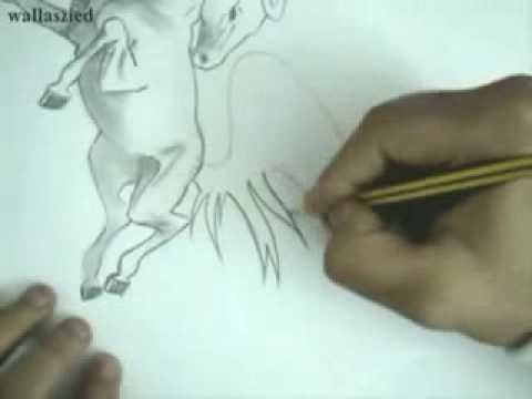Drawing Horse