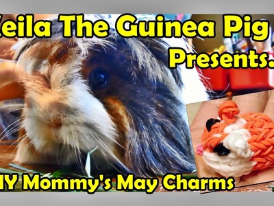 Rainbow Loom Charms Review for May with Keila the Guinea Pig