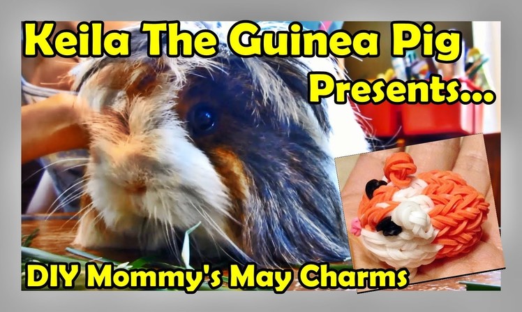 Rainbow Loom Charms Review for May with Keila the Guinea Pig