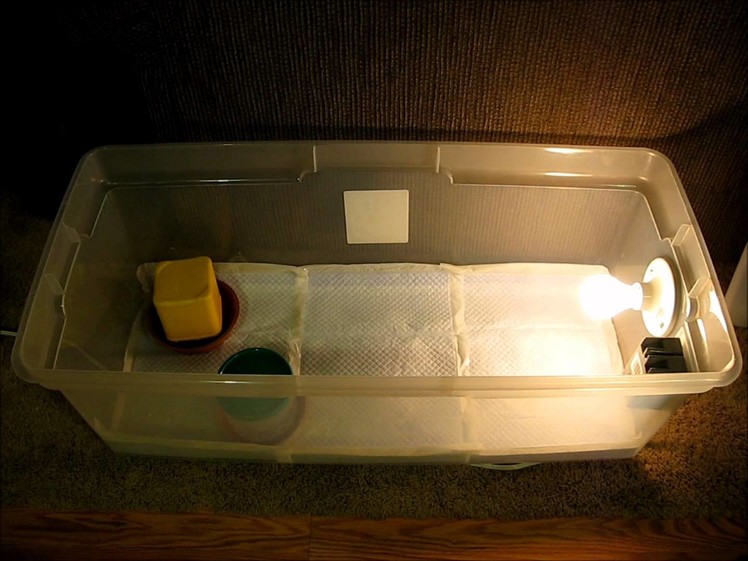 Homemade Chicken Brooder With Temperature Control