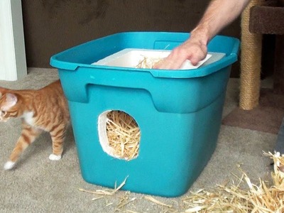 How to Make a Feral Cat Shelter