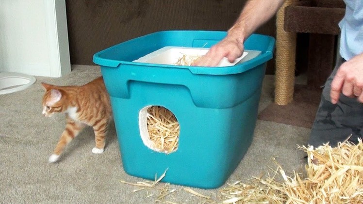 How to Make a Feral Cat Shelter