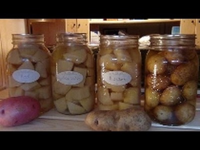 Let's Talk Potatoes Canning And Starch!