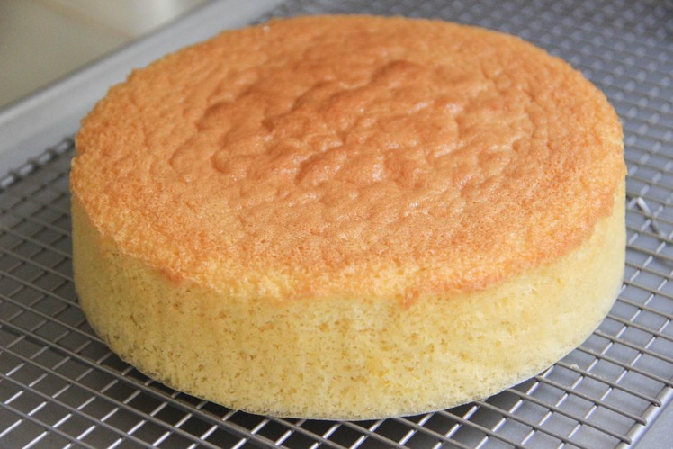 Sponge Cake Recipe - Japanese Cooking 101