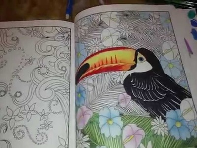 Adult Coloring Book, pencils, markers Review
