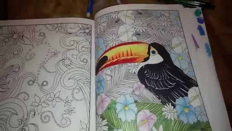 Adult Coloring Book, pencils, markers Review