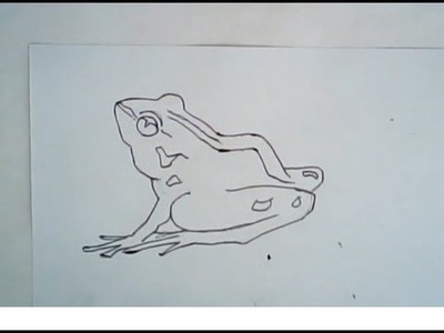 How to draw a swamp frog (easy drawing)
