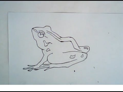 How to draw a swamp frog (easy drawing)