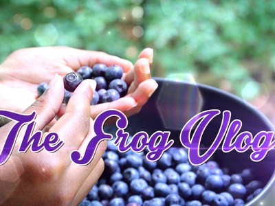 The Frog Vlog: Inspiration for our Doll Berry Farm Craft!! We go Berry Picking!