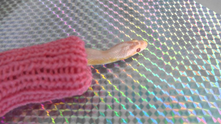 Snake sweater demo