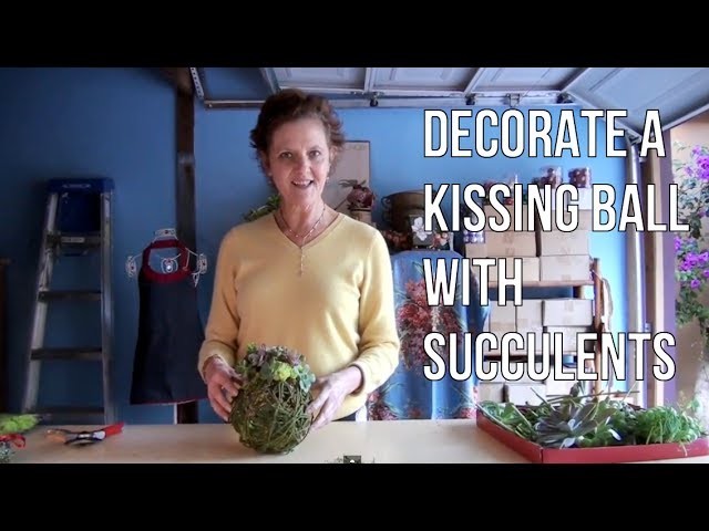 A Different Way To Create A Succulent Kissing Ball