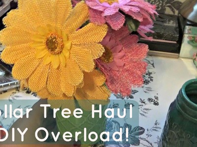 June Dollar Tree Haul & DIY Overload