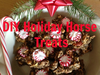 DIY Holiday Horse Treats