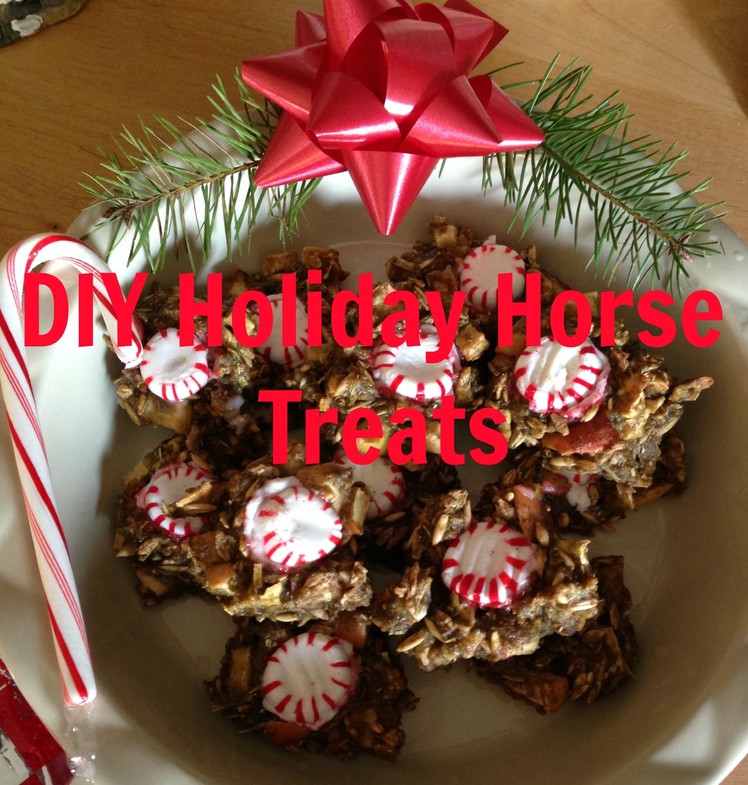 DIY Holiday Horse Treats