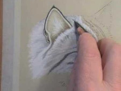 How To Draw Cat's Fur