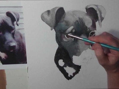 Painting a watercolour portrait of a black dog by Gill Bustamante - Sussex Artist