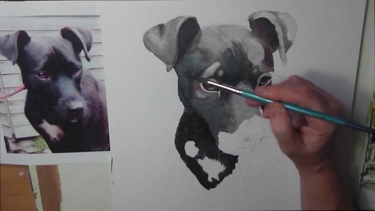 Painting a watercolour portrait of a black dog by Gill Bustamante - Sussex Artist