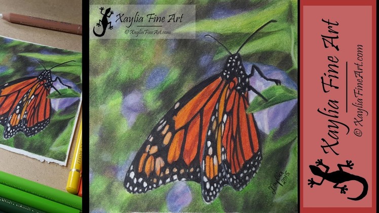 Tutorial: how to draw a monarch butterfly in coloured pencils