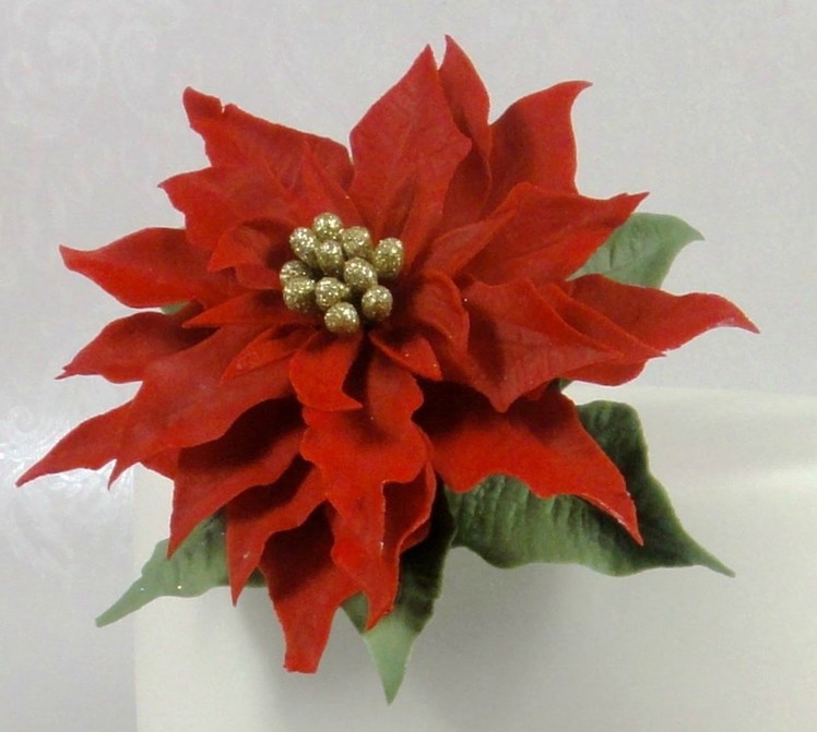 How to Make a Christmas Poinsettia Sugar Flower Gum Paste Cake Decorating Tutorial using Jem Cutters
