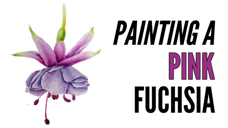 How To Paint A Fuchsia With Inktense In Pink
