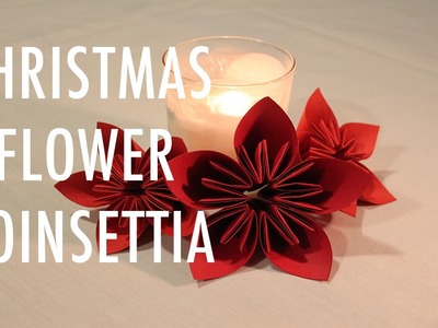 DIY CHRISTMAS.HOLIDAY FLOWER: POINSETTIA