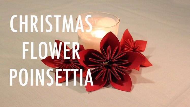 DIY CHRISTMAS.HOLIDAY FLOWER: POINSETTIA