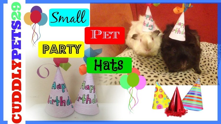 How to make Birthday Hats for Small Pets