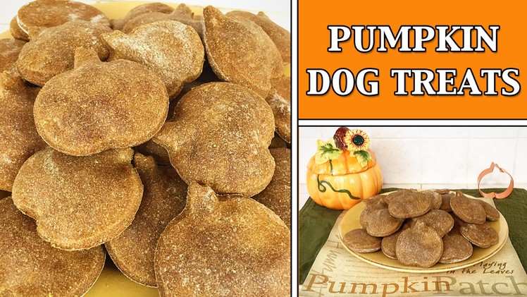 PUMPKIN DOG TREATS HOW TO DIY TUTORIAL - YTCM HALLOWEEN COLLAB