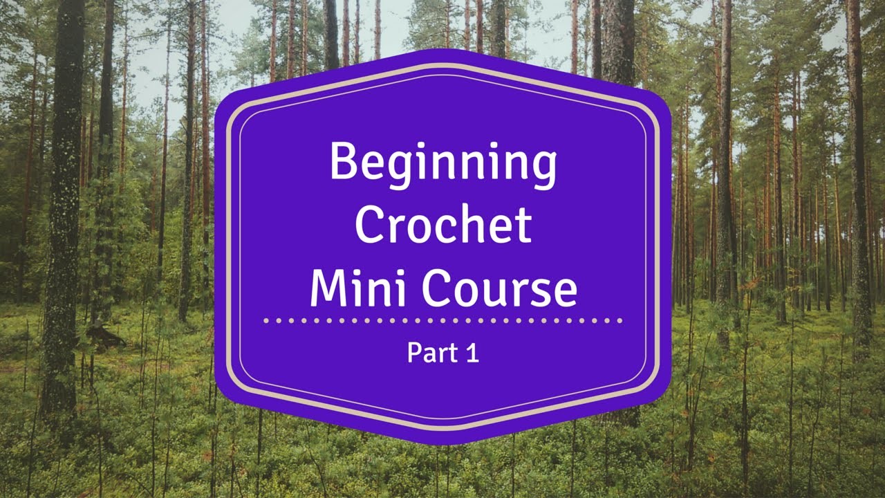Beginning Crochet Mini Course - Part 1 - Holding the Yarn and Hook