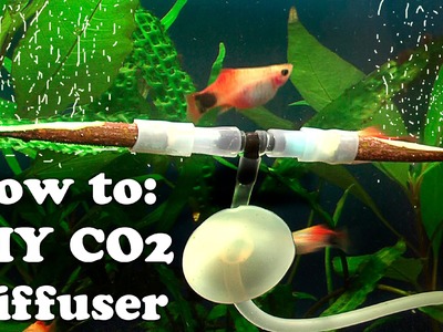 How to DIY cheap CO2 DIFFUSER using Rowen twigs