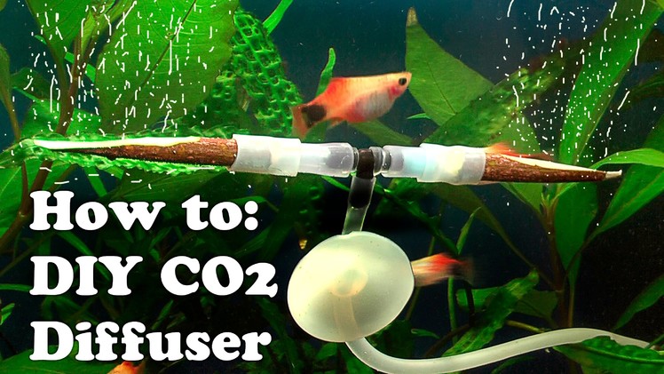 How to DIY cheap CO2 DIFFUSER using Rowen twigs