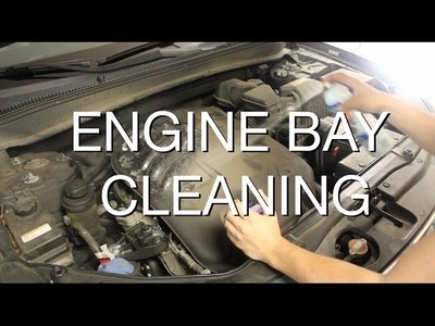 DIY: How to Safely Clean Your Engine Bay