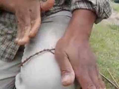 Making Cordage From Plant Fibers 4 of 4