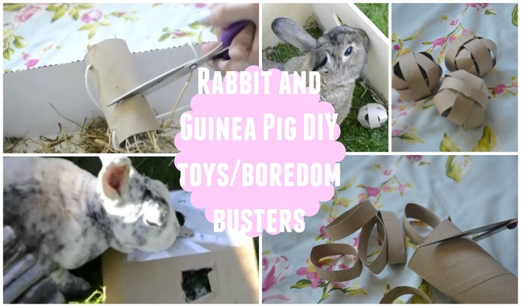DIY Rabbit + Guinea Pig Toys.Boredom Buster |♡Imy'sAnimals♡