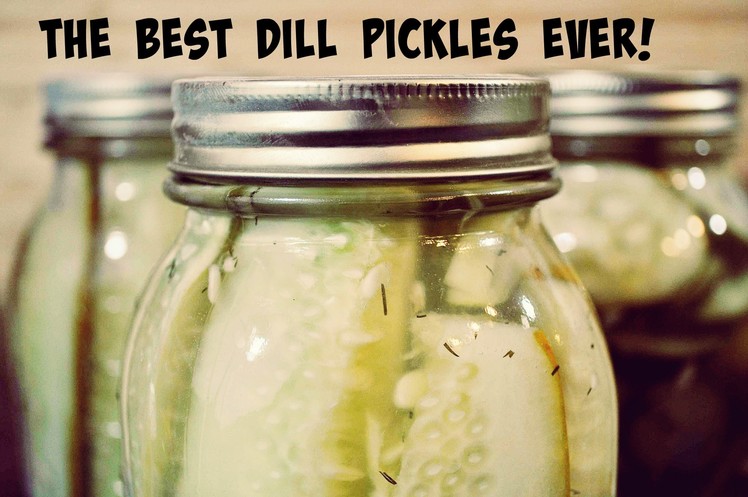 Homesteading: Canning Homemade Dill Pickles