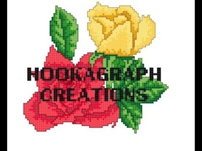 HOOKAGRAPH 101 HOW TO CHANGE COLORS WORKING A PICTURE PATTERN