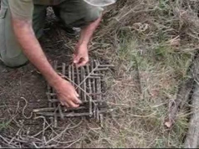 Building and setting an arapuca live bird trap
