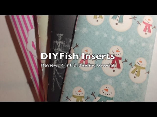 DIY Fish MTN inserts   Review & Assembly