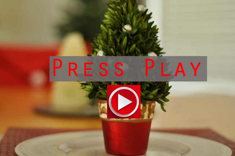 DIY Fresh Mini Christmas Tree Tutorial